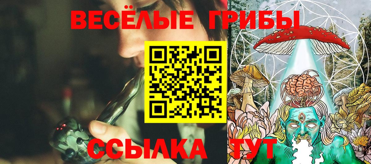 Псилоцибиновые грибы Psilocybine cubensis  где купить наркоту  Иваново  Вход с VPN 
